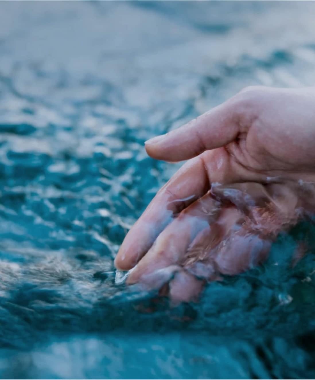 Water 2040 Island Grows Initiative